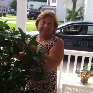 Meet your Posher, Rosa